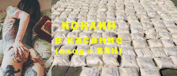 индика Алексеевка
